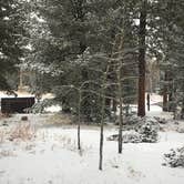 Review photo of Mueller State Park Campground by Aleia B., April 5, 2022