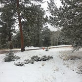 Review photo of Mueller State Park Campground by Aleia B., April 5, 2022