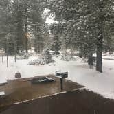 Review photo of Mueller State Park Campground by Aleia B., April 5, 2022