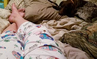 Rebecca S.'s photo of glamping accommodations at Palisades State Park Campground near Brookings, SD