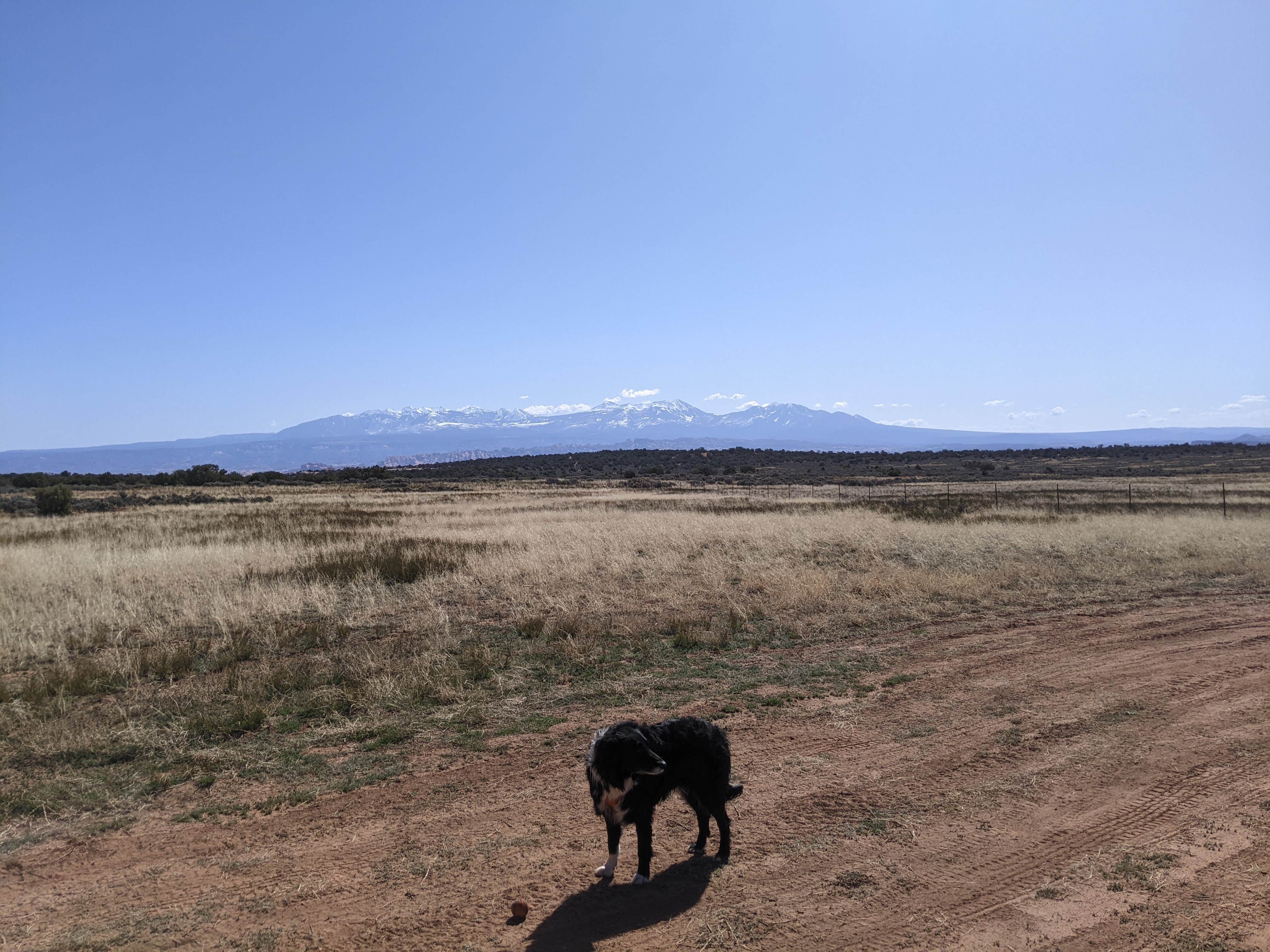 Camper submitted image from BLM Long Canyon Well Road Dispersed Camping - 3