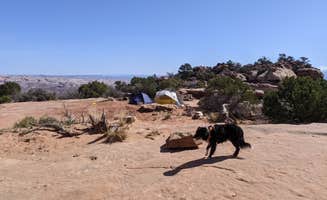 Greg L.'s photo of camping with pets at BLM Long Canyon Well Road Dispersed Camping near Canyonlands National Park