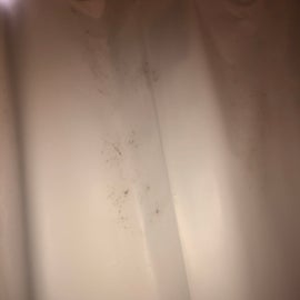 mold in the men’s bathroom