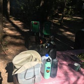 Review photo of Panther Flat Campground by Sarah S., July 11, 2018