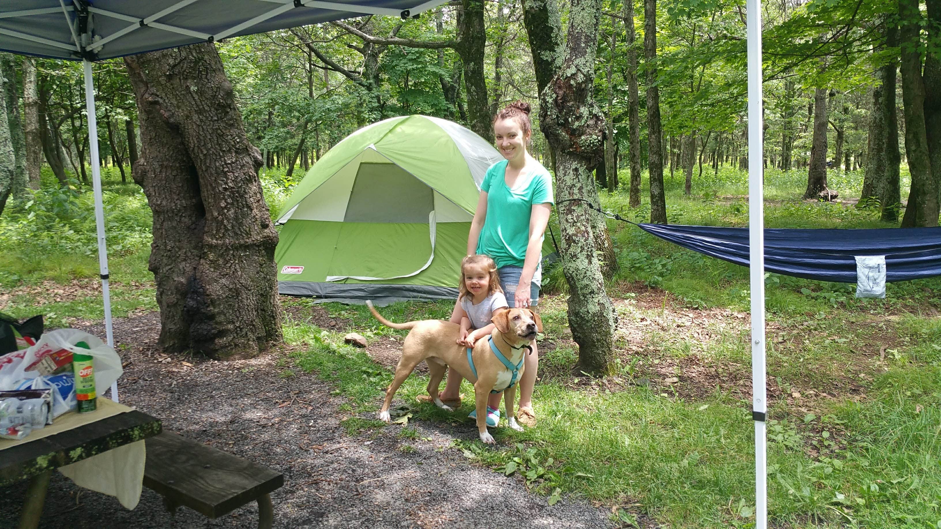 Benjamin A.'s photo of camping with pets at Big Meadows Campground — Shenandoah National Park near Crimora, VA