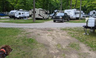 Jim W.'s photo of camping with pets at Hidden Hill Family Campground near Evart, MI