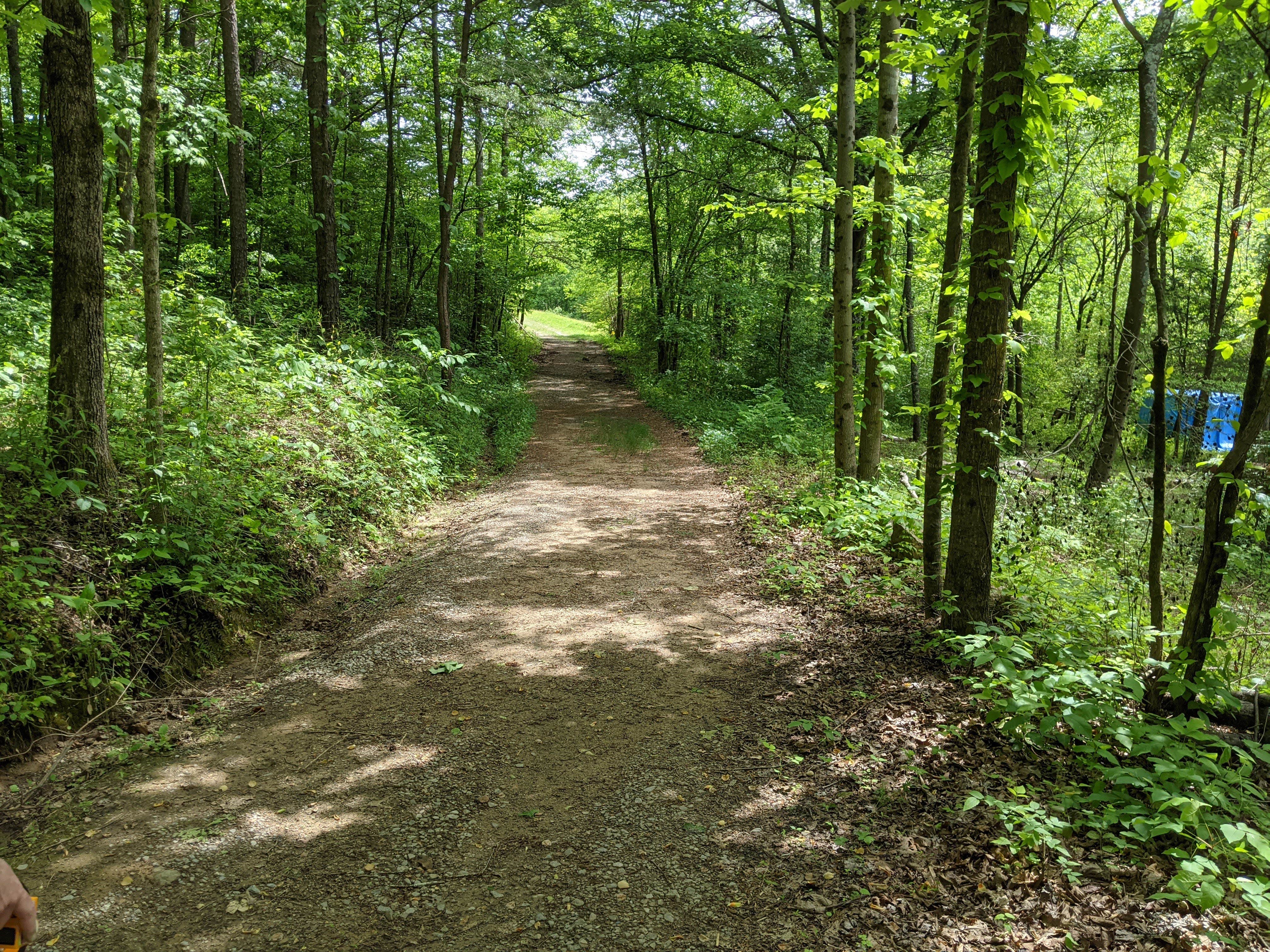 Camper-submitted photo at Running Water Creek Campground near Trenton, GA