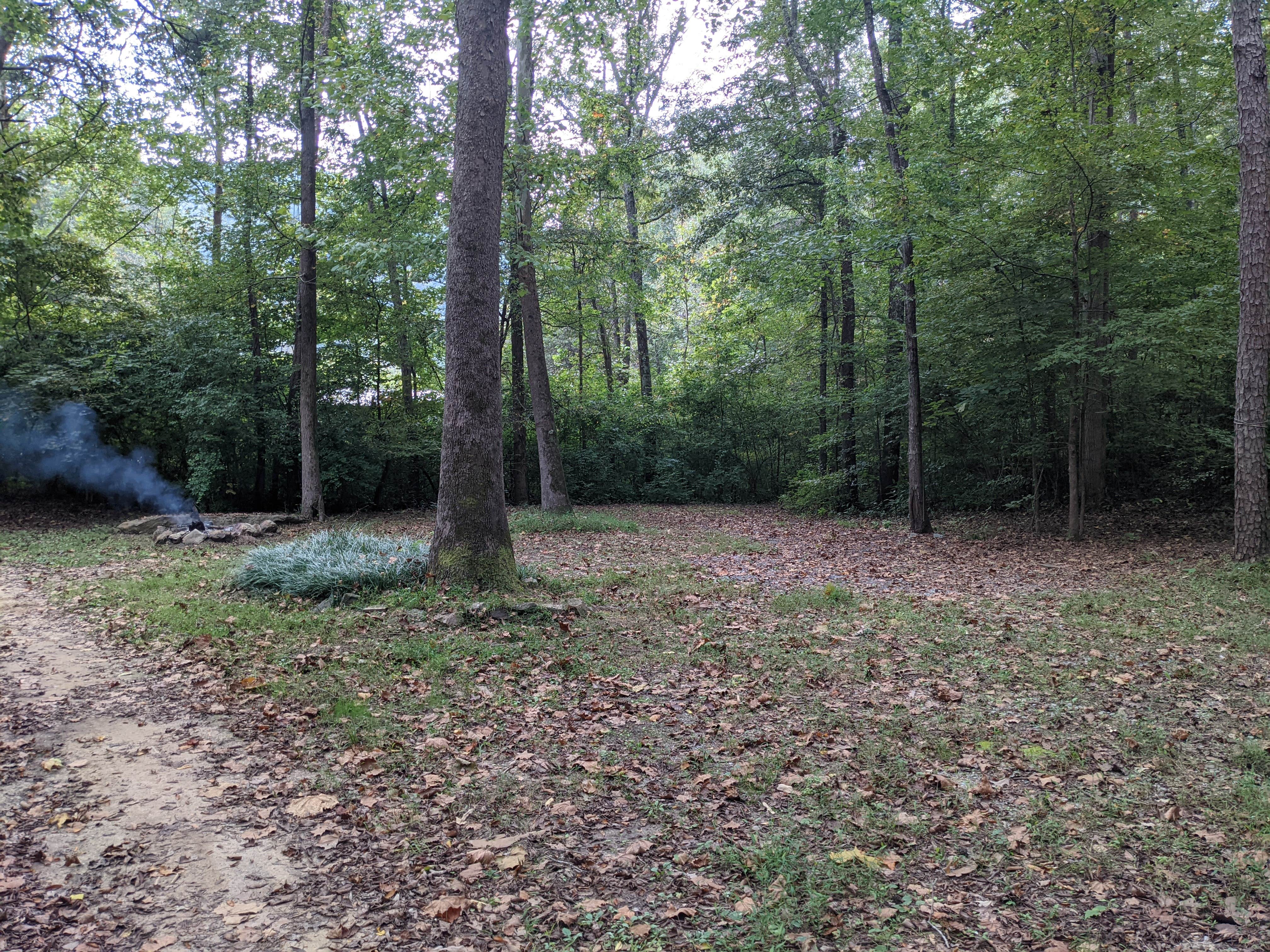 Camper-submitted photo at Running Water Creek Campground near Trenton, GA