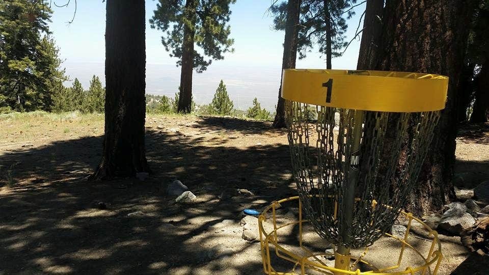 Camper submitted image from Inyo National Forest Table Mountain Group Campground - 2