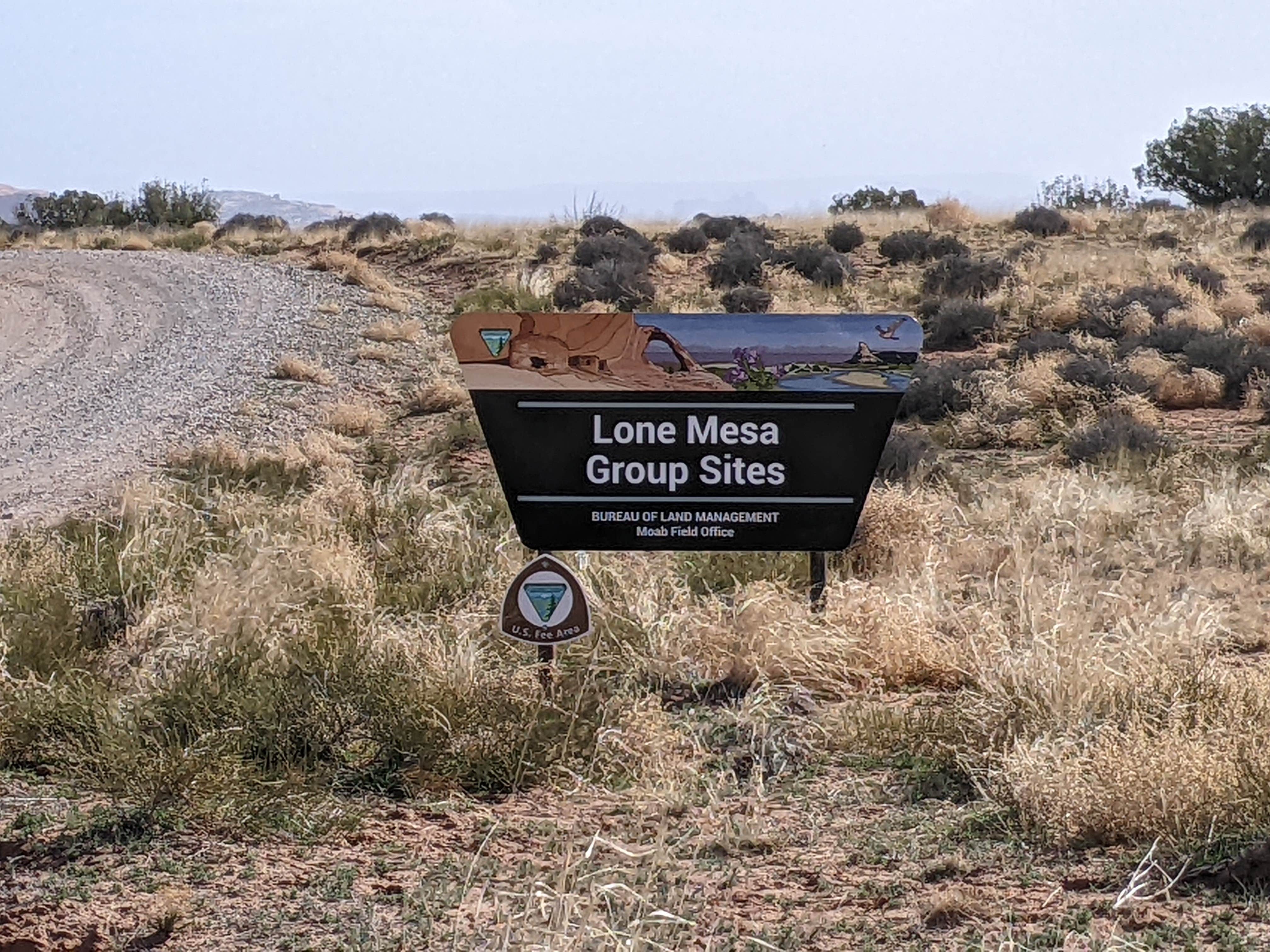 Camper submitted image from Lone Mesa Group Campground - 5