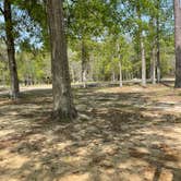 Review photo of Fontainebleau State Park Campground by christina S., April 5, 2022