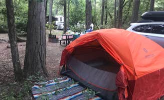 Sarah S.'s photo at Panther Flat Campground near Hiouchi, CA
