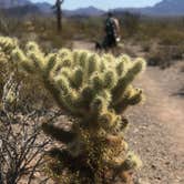 Review photo of Twin Peaks Campground — Organ Pipe Cactus National Monument by Kaela T., April 5, 2022