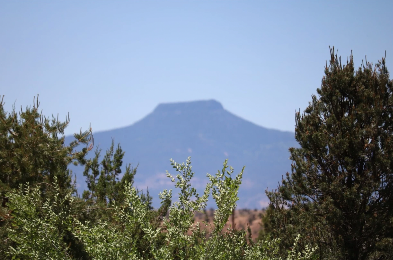 Camper-submitted photo at Down Home Lodge and Family RV Resort near Canjilon, NM