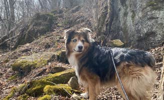 Jillian E.'s photo of camping with pets at Beaver Creek Valley State Park Campground near Viroqua, WI