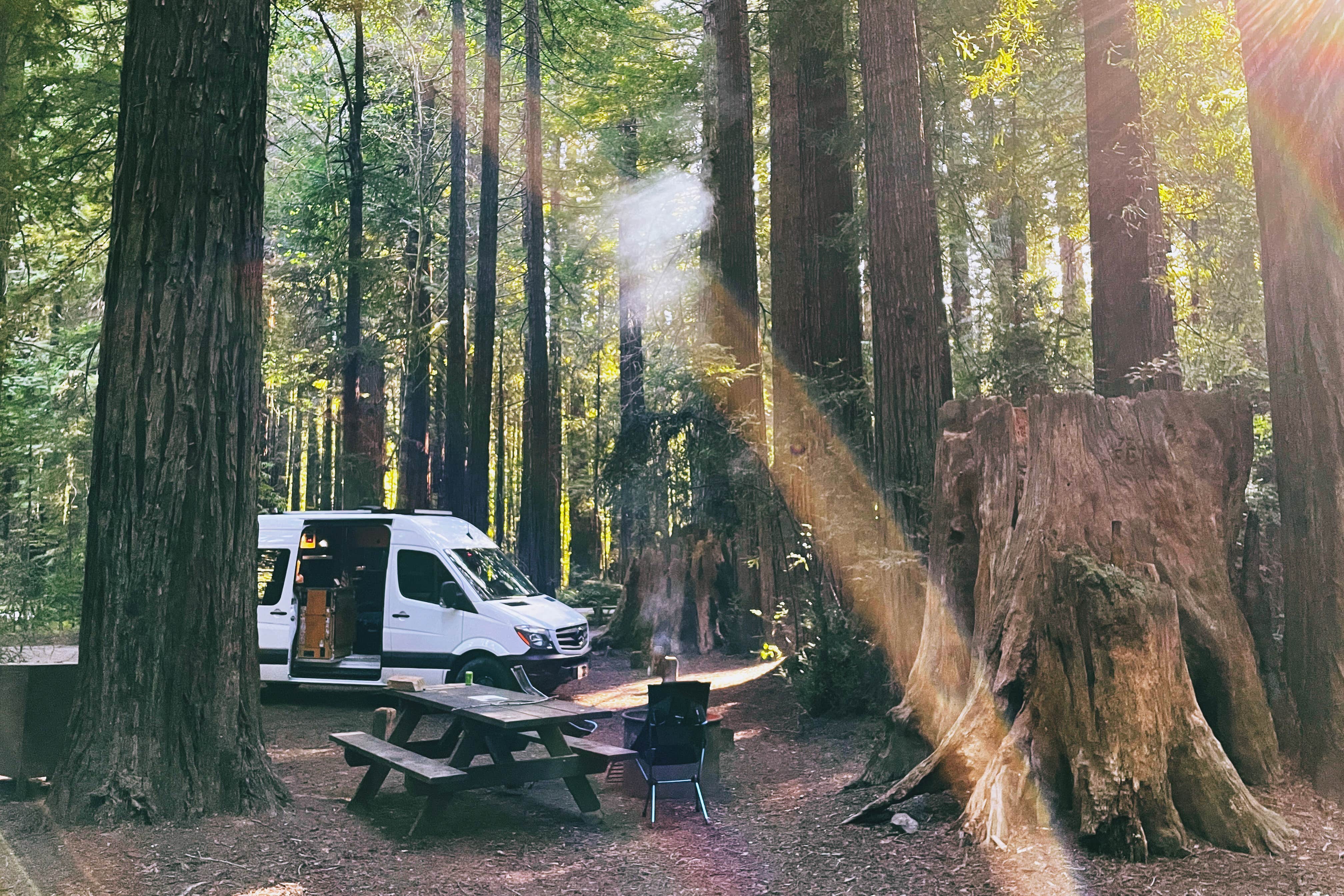 Camper-submitted photo at Burlington Campground — Humboldt Redwoods State Park near Bridgeville, CA