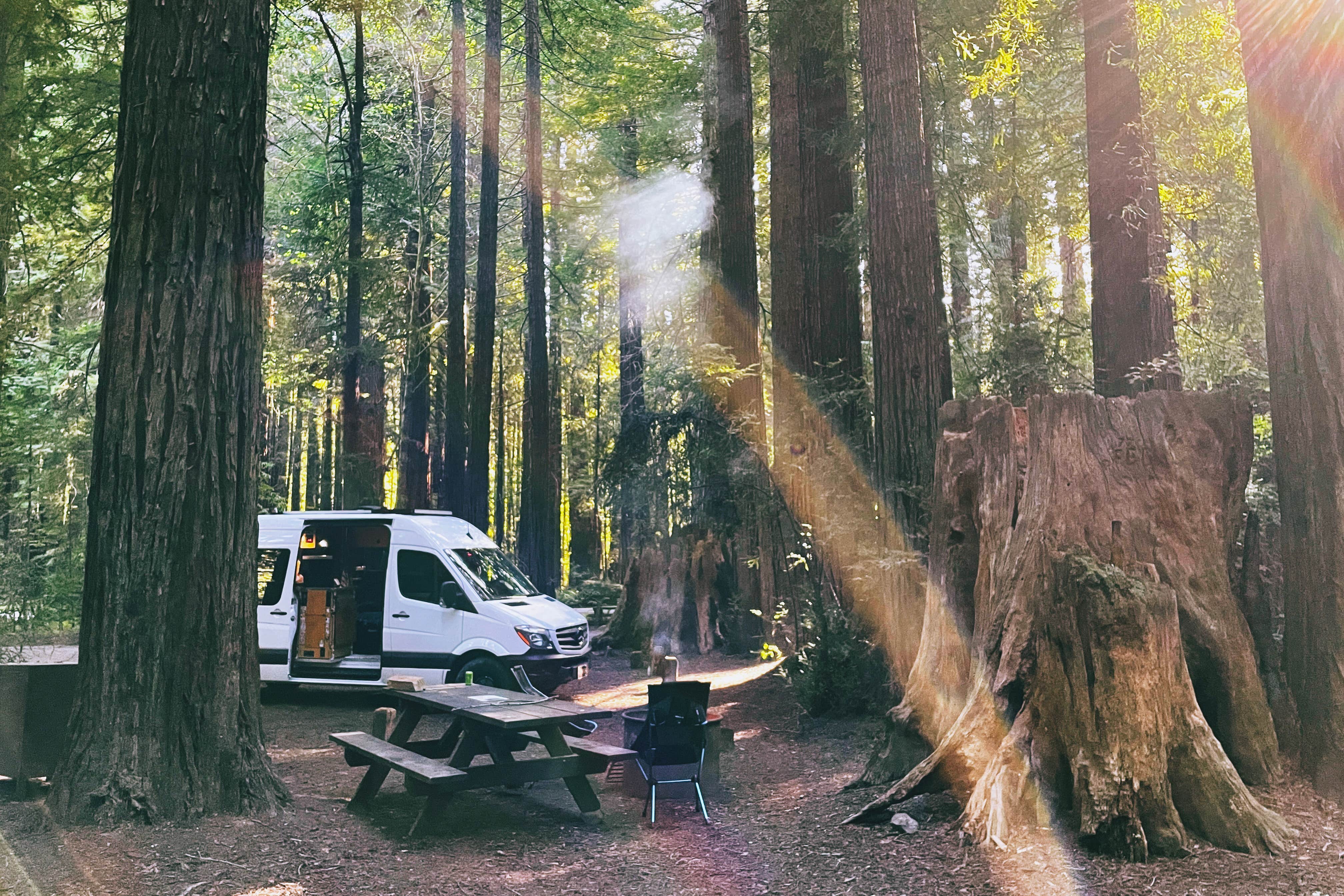 Camper submitted image from Burlington Campground — Humboldt Redwoods State Park - 1