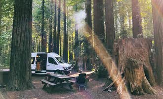 Camping near Van Duzen County Park - Pamplin Grove: Burlington Campground — Humboldt Redwoods State Park, Weott, California