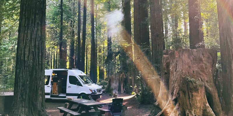 Camper submitted image from Burlington Campground — Humboldt Redwoods State Park