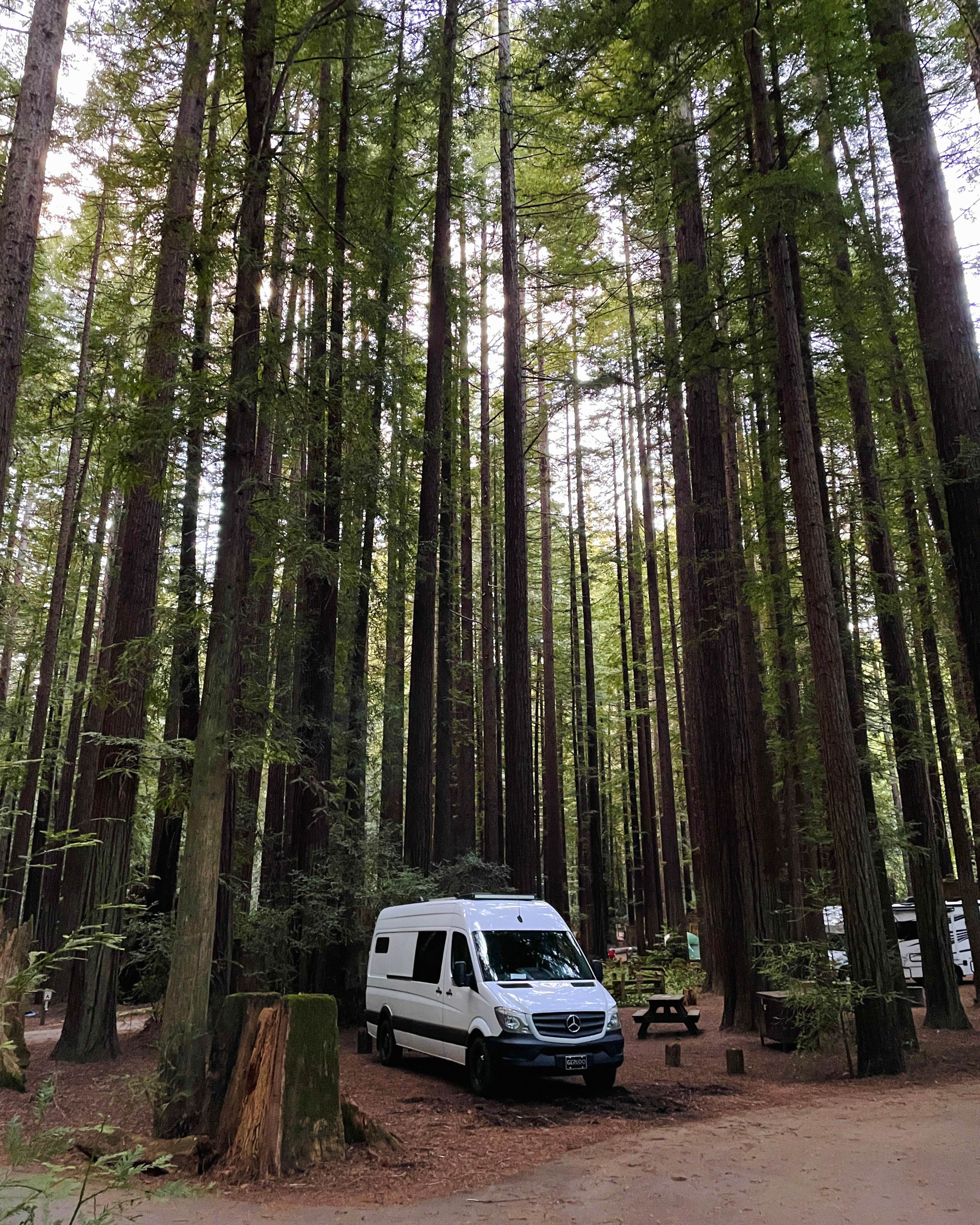Mea H.'s photo of rv camping at Burlington Campground — Humboldt Redwoods State Park near Phillipsville, CA
