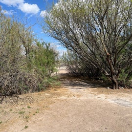 paths to other camping areas