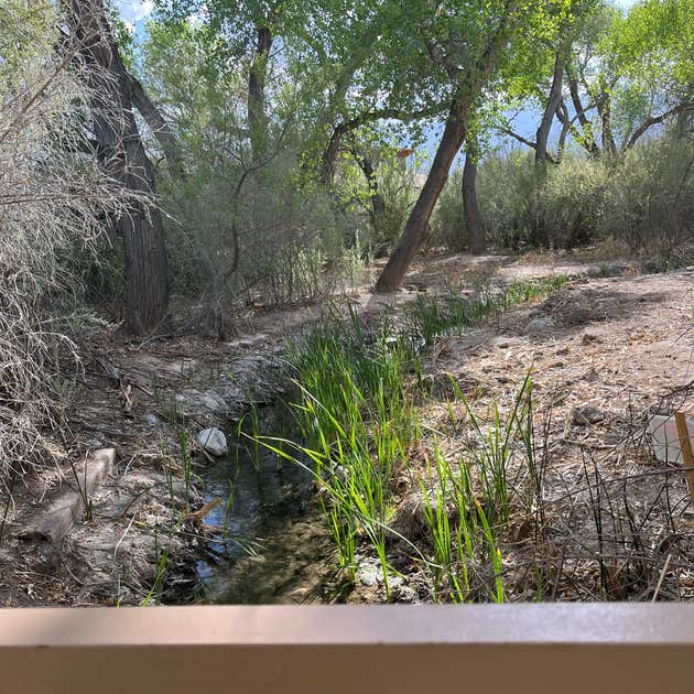 Hacienda Campground — Roper Lake State Park | Safford, Arizona