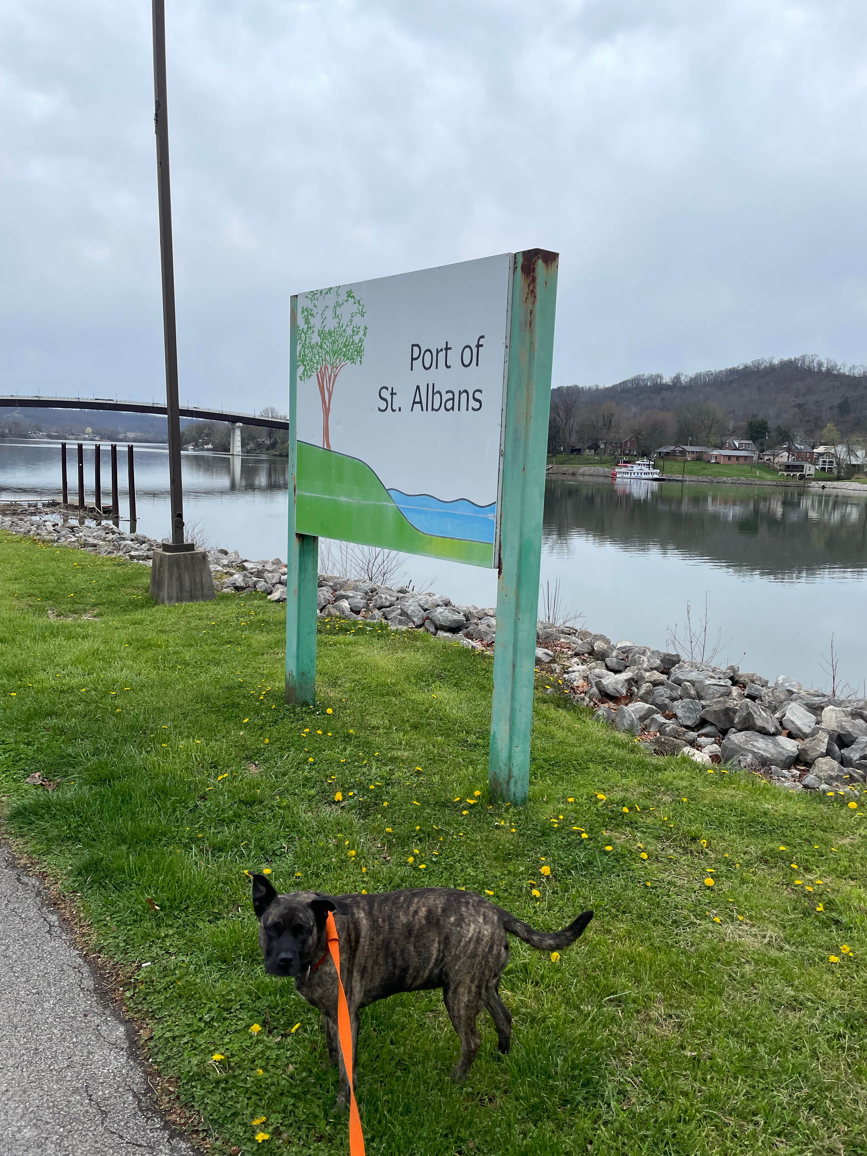 mike's photo of camping with pets at Saint Albans Roadside Park near Ravenswood, WV