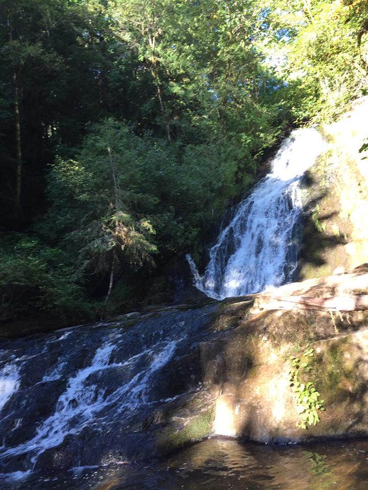 Camper-submitted photo at Alsea Falls near Newport, OR