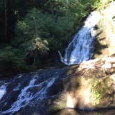 Review photo of Alsea Falls by Kelli B., July 11, 2018