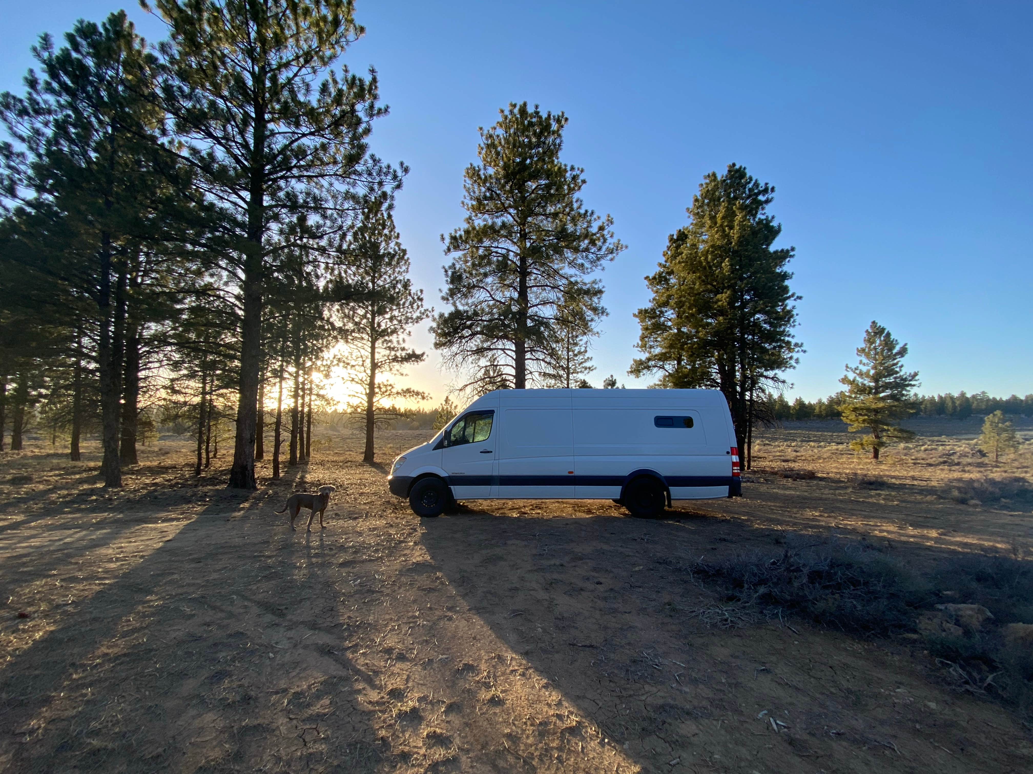 Camper-submitted photo at FS #117 Rd Dispersed Camping near Parowan, UT