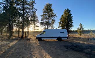 Taylor S.'s photo at FS #117 Rd Dispersed Camping near Dixie National Forest