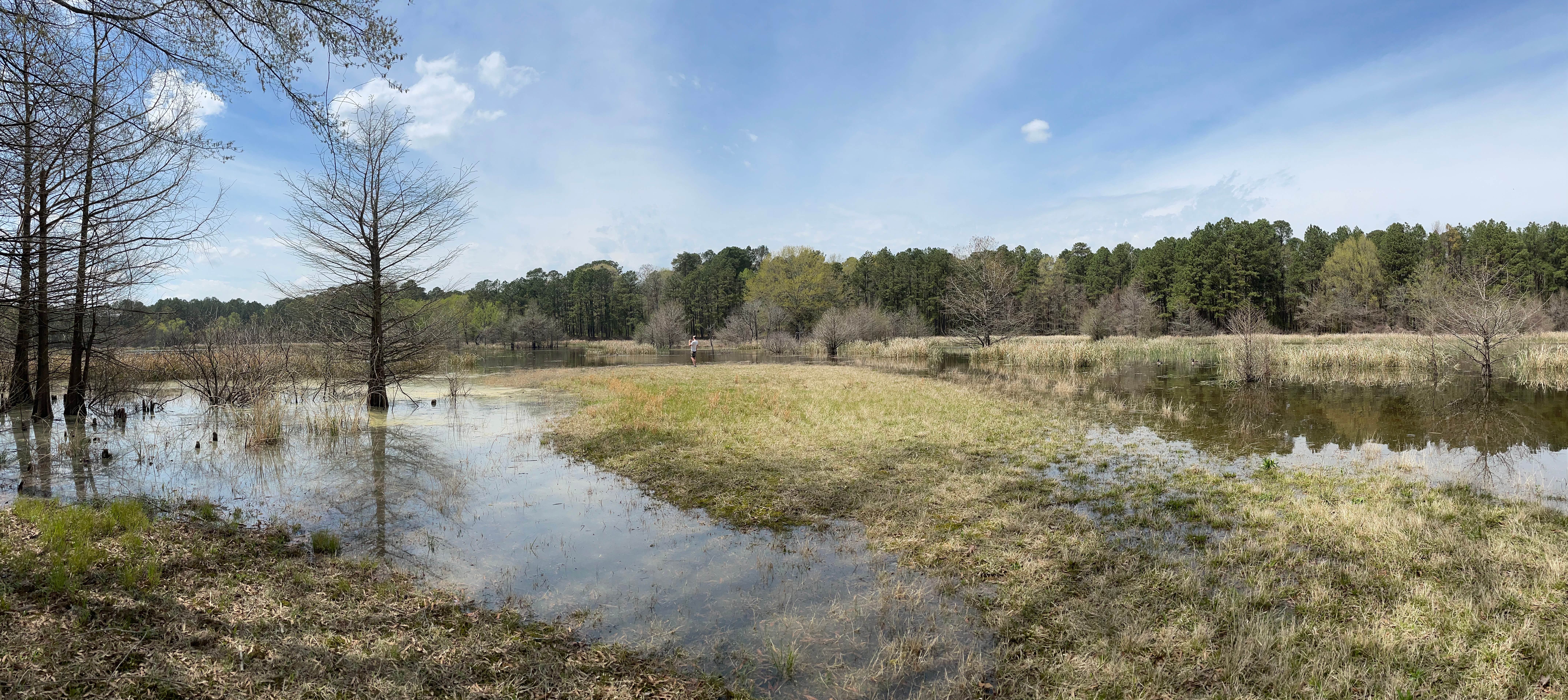 Camper-submitted photo at Millwood State Park Campground near Millwood Lake