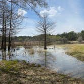 Review photo of Millwood State Park Campground by Katie B., April 6, 2022