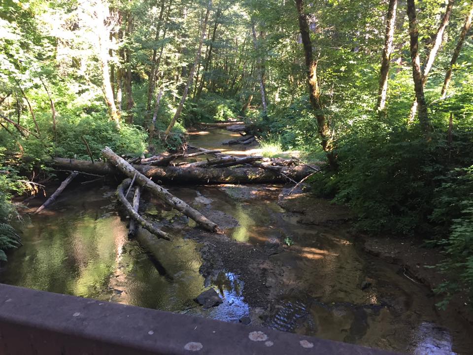Bridge connecting campground to trail
