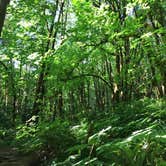 Review photo of Alsea Falls by Kelli B., July 11, 2018