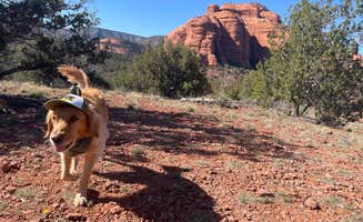 Michael B.'s photo of camping with pets at Red Canyon Overlook Dispersed - PERMANENTLY CLOSED near Coconino National Forest Recreation