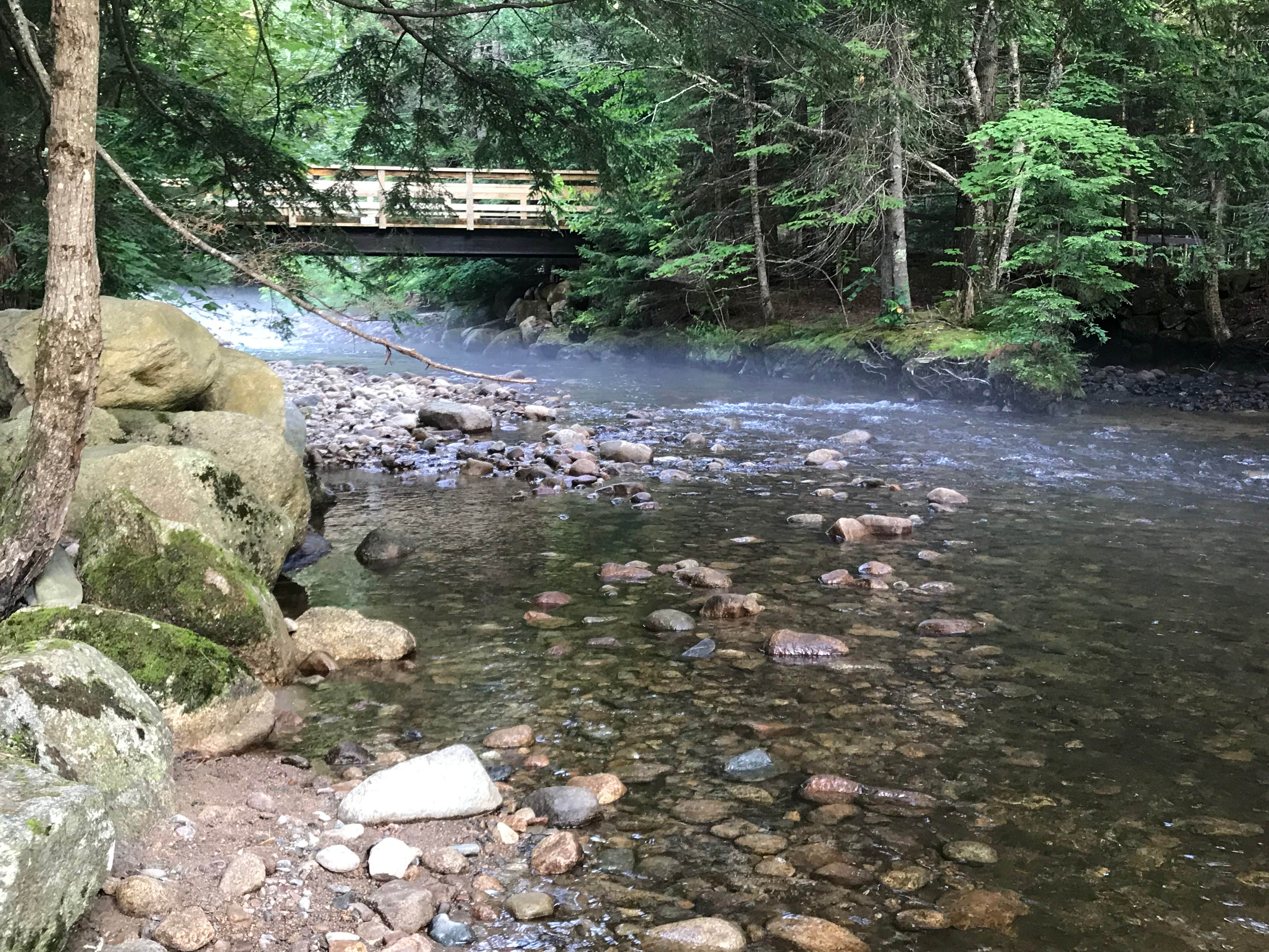 Camper submitted image from Fransted Family Campground - 3