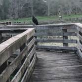 Review photo of Brazos Bend State Park Campground by David N., April 6, 2022