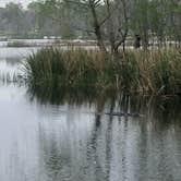 Review photo of Brazos Bend State Park Campground by David N., April 6, 2022