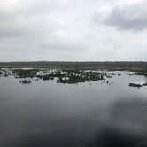 Review photo of Brazos Bend State Park Campground by David N., April 6, 2022