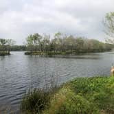 Review photo of Brazos Bend State Park Campground by David N., April 6, 2022