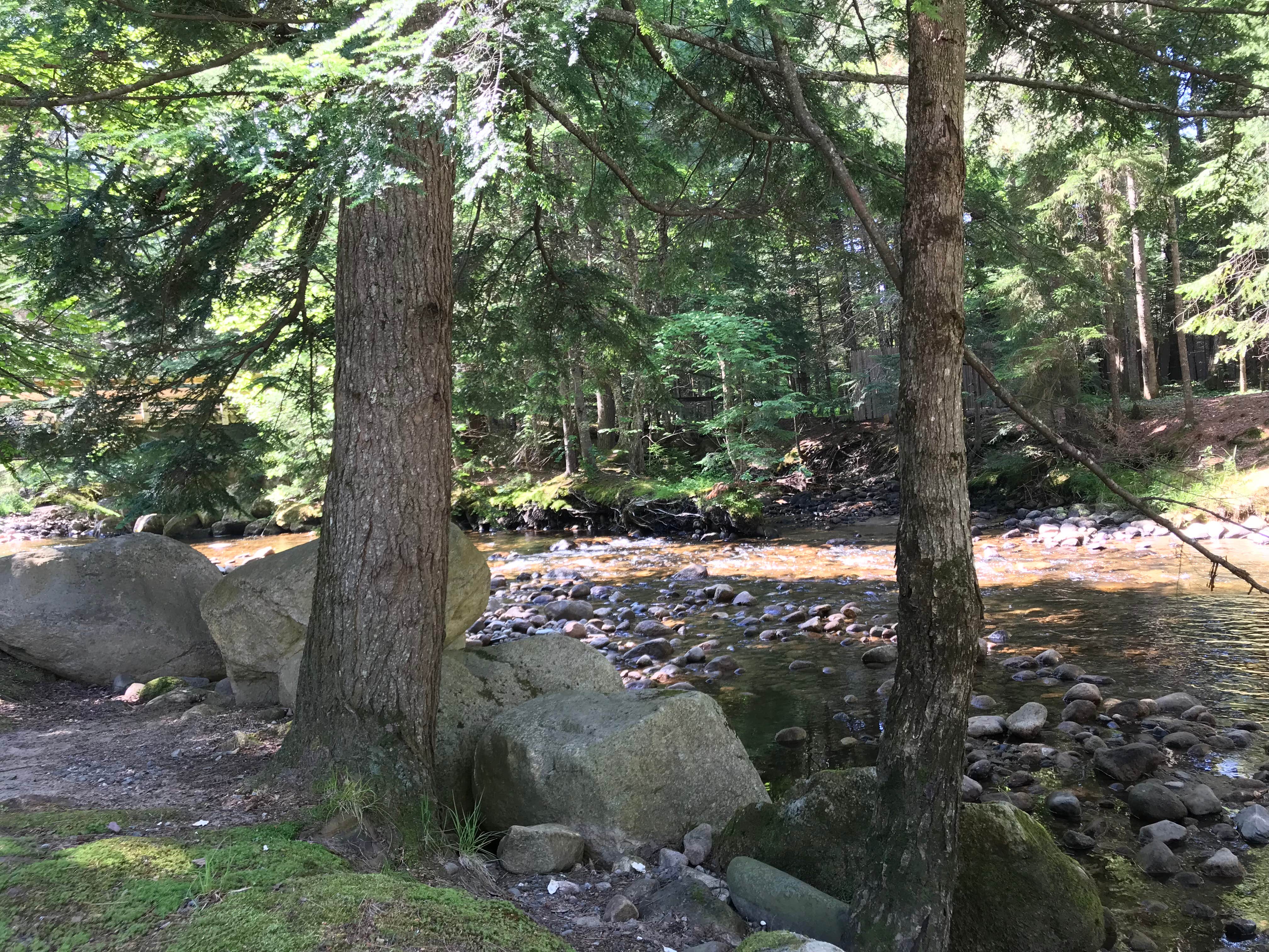 Camper-submitted photo at Fransted Family Campground near Lincoln, NH