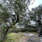 Review photo of Goose Island State Park Campground by Katie B., April 4, 2022