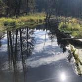 Review photo of Millersylvania State Park Campground by Jeff K., April 6, 2022