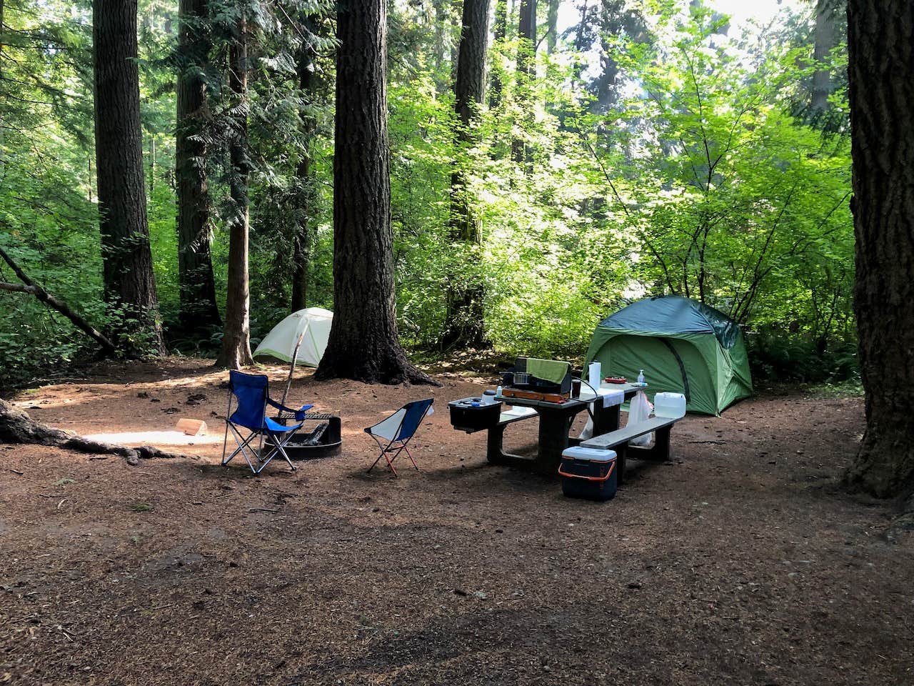 Jeff K.'s photo at Millersylvania State Park Campground near McKenna, WA