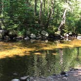 Review photo of Fransted Family Campground  by Naomi M., July 11, 2018