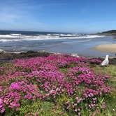 Review photo of Cape Perpetua by Jeff K., April 6, 2022