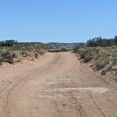 Review photo of BLM Hell Roaring Canyon Overlook Dispersed Camping by Greg L., April 6, 2022