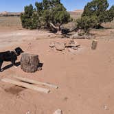 Review photo of BLM Hell Roaring Canyon Overlook Dispersed Camping by Greg L., April 6, 2022