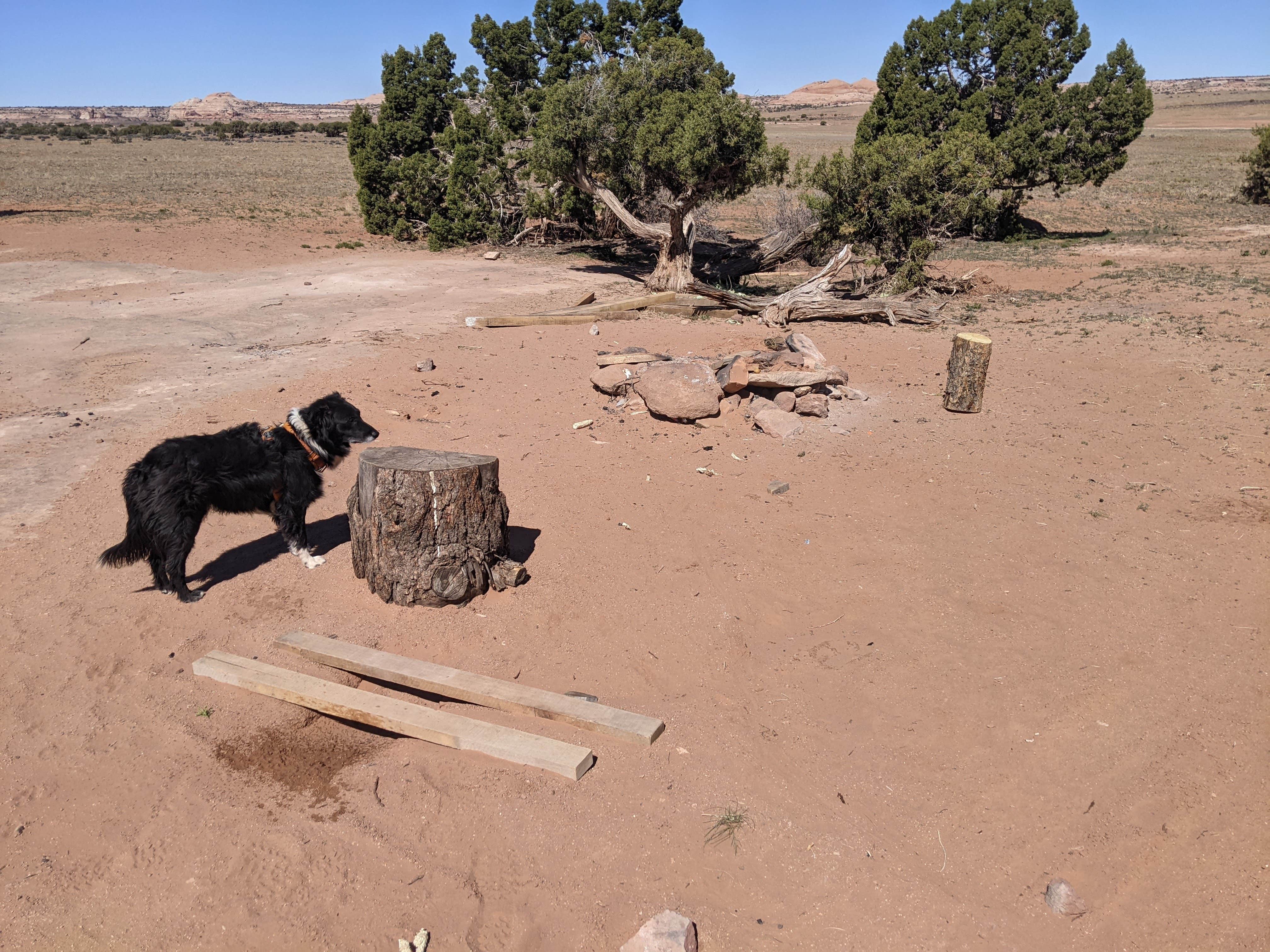 Camper submitted image from BLM Hell Roaring Canyon Overlook Dispersed Camping - 2